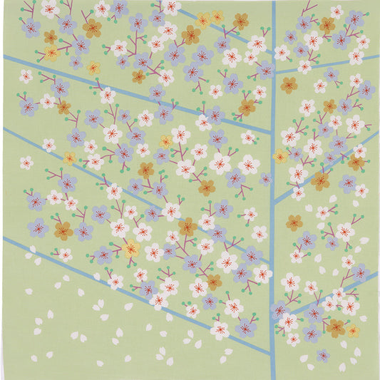 50 風呂敷 ひめむすび | 桜 グリーン