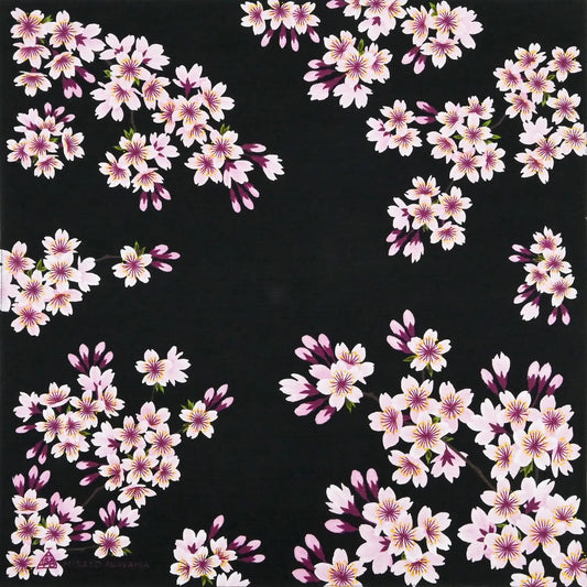 風呂敷 桜 BK 50cm